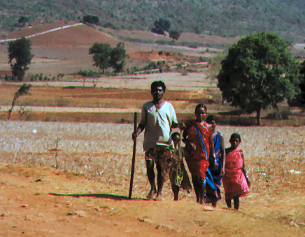Image1.jpg Image1.jpg